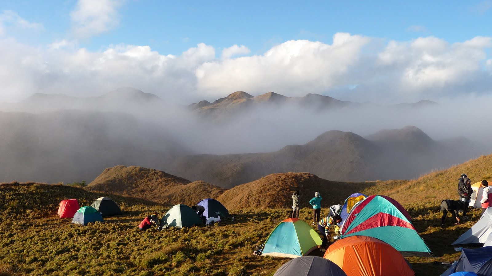 Don’t Disrespect the Environment - Travel
