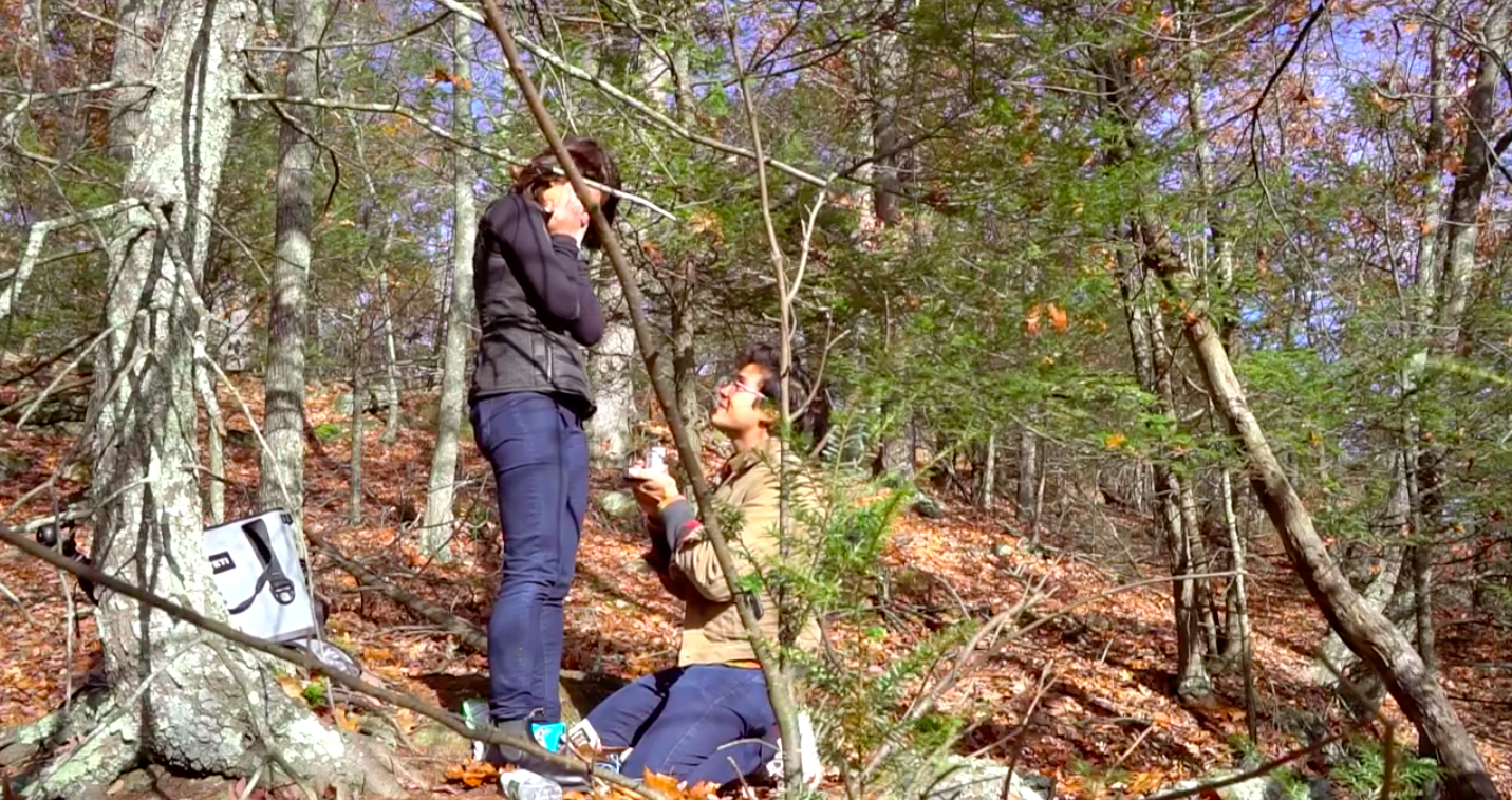 Erwan Heusaff and Anne Curtis Engagement Video